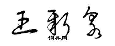 曾慶福王新泉草書個性簽名怎么寫