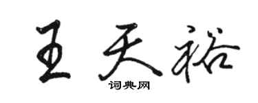 駱恆光王天裕行書個性簽名怎么寫