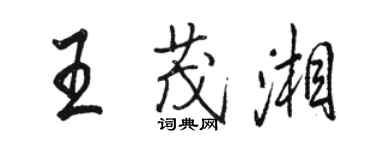 駱恆光王茂湘行書個性簽名怎么寫