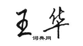 駱恆光王華行書個性簽名怎么寫