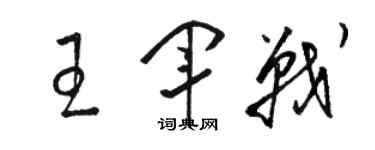 駱恆光王軍戰草書個性簽名怎么寫