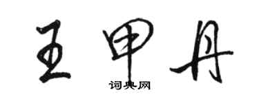 駱恆光王甲丹行書個性簽名怎么寫