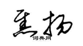 朱錫榮焦揚草書個性簽名怎么寫