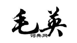 胡問遂毛英行書個性簽名怎么寫