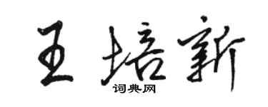 駱恆光王培新行書個性簽名怎么寫