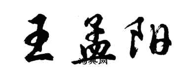 胡問遂王孟陽行書個性簽名怎么寫