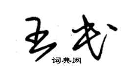 朱錫榮王民草書個性簽名怎么寫