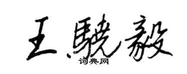 王正良王驍毅行書個性簽名怎么寫