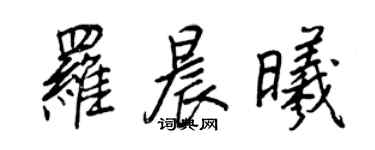 王正良羅晨曦行書個性簽名怎么寫