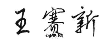 駱恆光王賽新行書個性簽名怎么寫