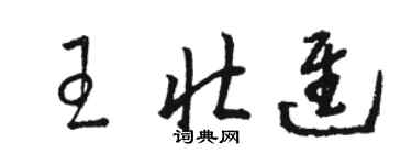 駱恆光王壯進草書個性簽名怎么寫