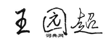 駱恆光王園超行書個性簽名怎么寫