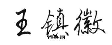 駱恆光王鎮徽行書個性簽名怎么寫