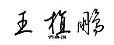 梁錦英王植鵬草書個性簽名怎么寫