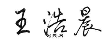 駱恆光王浩晨行書個性簽名怎么寫