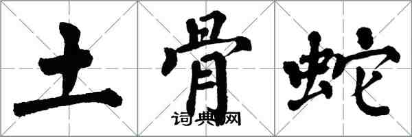 翁闓運土骨蛇楷書怎么寫