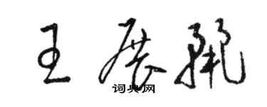 駱恆光王展麗草書個性簽名怎么寫