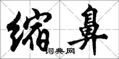 胡問遂縮鼻行書怎么寫