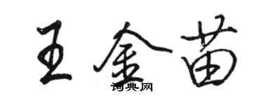 駱恆光王金苗行書個性簽名怎么寫