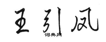 駱恆光王引鳳行書個性簽名怎么寫