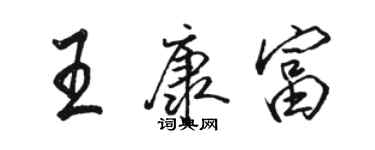 駱恆光王康富行書個性簽名怎么寫