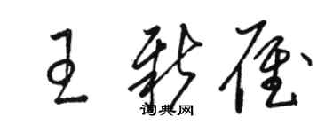 駱恆光王新雁草書個性簽名怎么寫