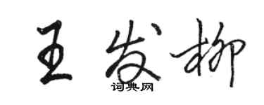 駱恆光王發柳行書個性簽名怎么寫