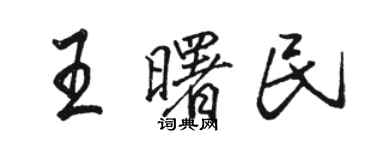駱恆光王曙民行書個性簽名怎么寫