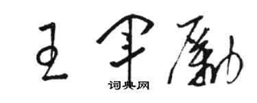 駱恆光王軍勵草書個性簽名怎么寫