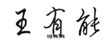 駱恆光王有能行書個性簽名怎么寫