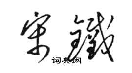 駱恆光宋鐵草書個性簽名怎么寫