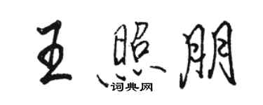 駱恆光王照朋行書個性簽名怎么寫