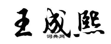 胡問遂王成熙行書個性簽名怎么寫