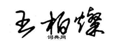 朱錫榮王柏燦草書個性簽名怎么寫