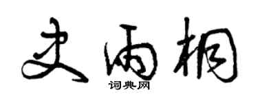 曾慶福史雨桐草書個性簽名怎么寫