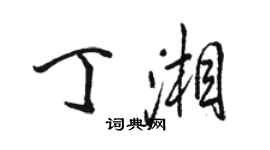 駱恆光丁湘行書個性簽名怎么寫