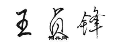 駱恆光王貞鋒行書個性簽名怎么寫