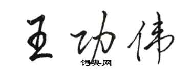 駱恆光王功偉行書個性簽名怎么寫