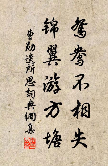 沈受先的名句_沈受先的詩詞名句_詩詞名句