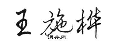 駱恆光王施樺行書個性簽名怎么寫
