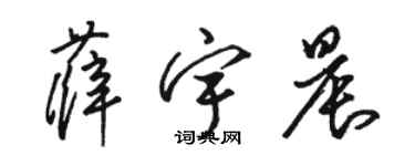 駱恆光薛宇晨草書個性簽名怎么寫