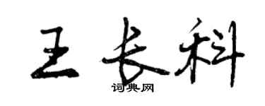 曾慶福王長科行書個性簽名怎么寫