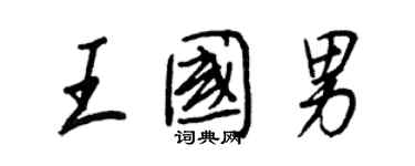 王正良王國男行書個性簽名怎么寫