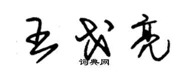 朱錫榮王戈亮草書個性簽名怎么寫