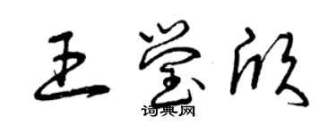 曾慶福王瑩欣草書個性簽名怎么寫