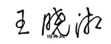 駱恆光王曉湘草書個性簽名怎么寫