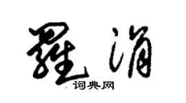 朱錫榮羅涓草書個性簽名怎么寫