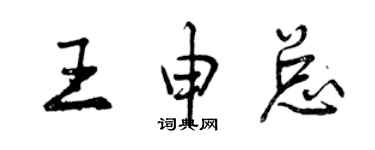 曾慶福王申總行書個性簽名怎么寫