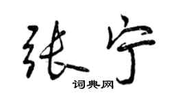 曾慶福張寧行書個性簽名怎么寫