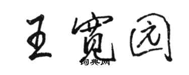 駱恆光王寬園行書個性簽名怎么寫